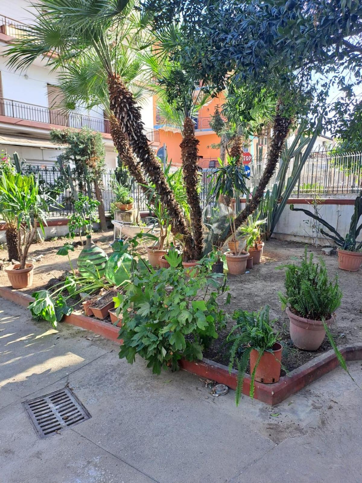 A Casa Di Luigi 2 *