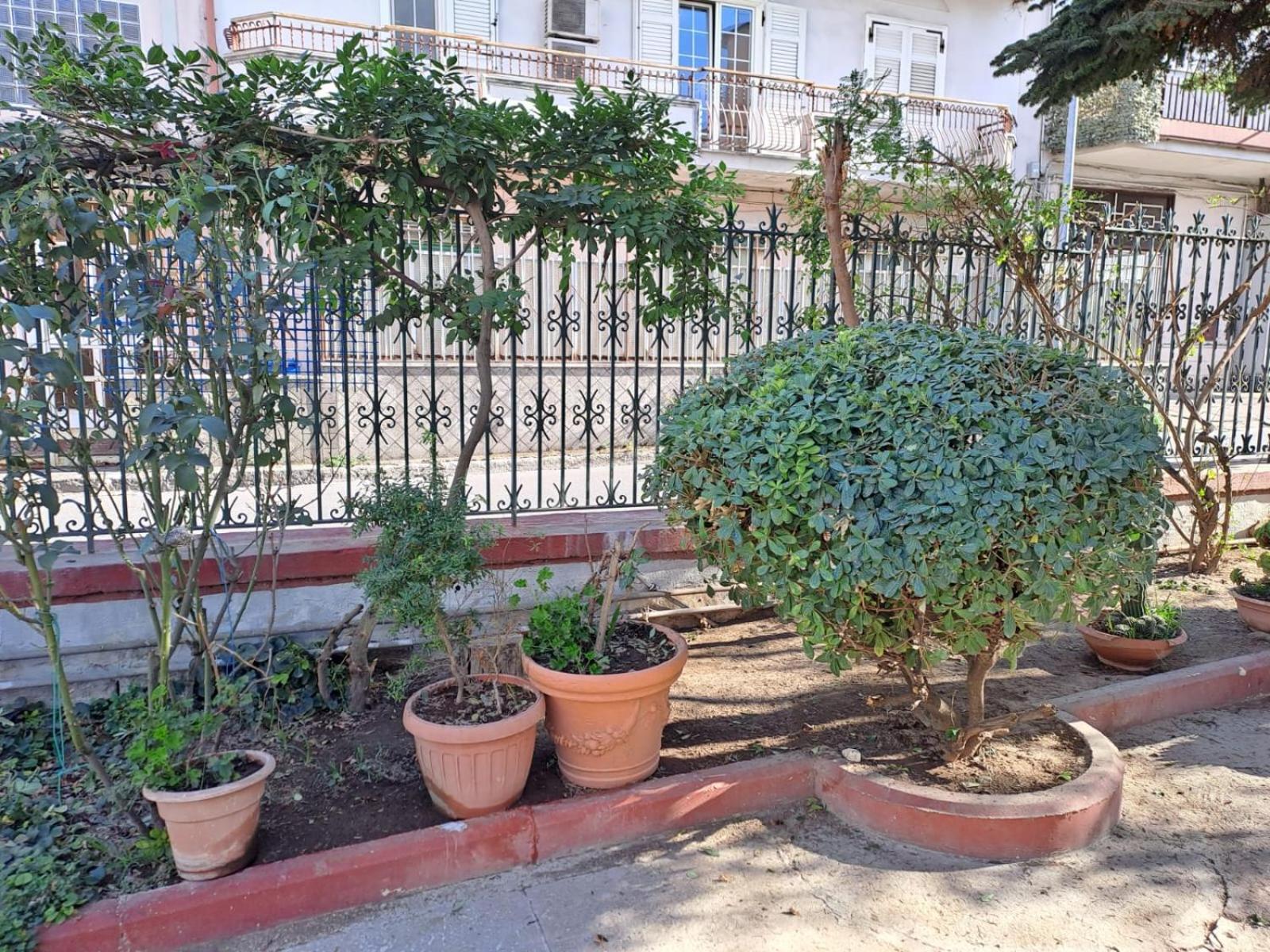 A Casa Di Luigi 2